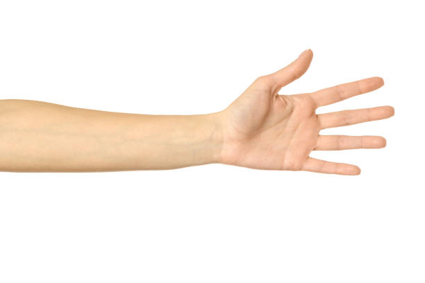 istock Reaching hand. Woman hand gesturing isolated on white 1797771732