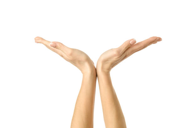 istock Holding or measuring hands. Woman hand gesturing isolated on white 1797771749