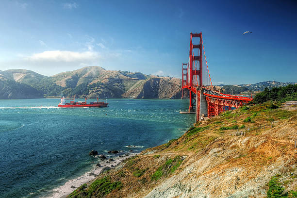 Golden Gate Bridge with ship and bird Unique perspective of Golden Gate Bridge with a cargo ship and bird. san francisco county city california urban scene stock pictures, royalty-free photos & images