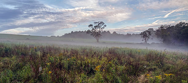 istock Field in Sullivan county New York 179779866