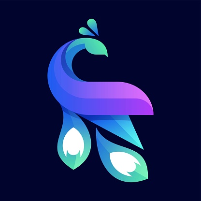 Vector Illustration Peacock Gradient Colorful Style