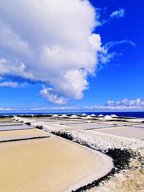 istock Salinas de Fuencaliente, La Palma 179782753