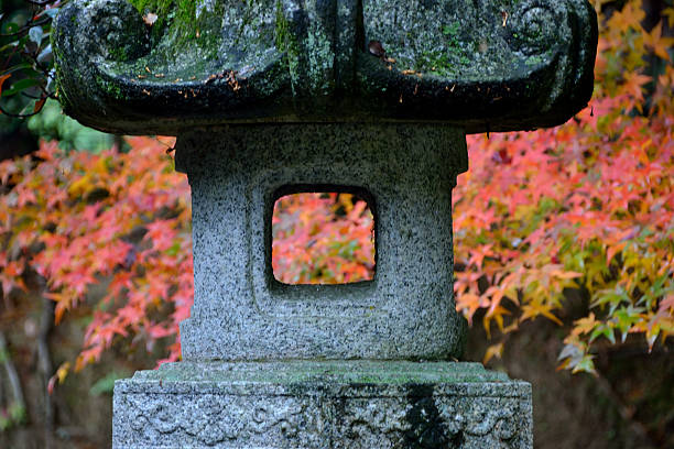 red maples and object made by stone stock photo