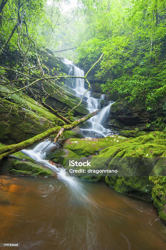 Wasserfall mit grünem Moos. - Lizenzfrei Bach Stock-Foto