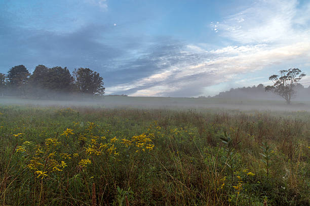 istock Field in Sullivan county New York 179783988