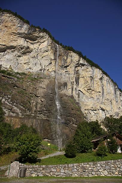 staubach queda - jungfrau waterfall tree nature imagens e fotografias de stock