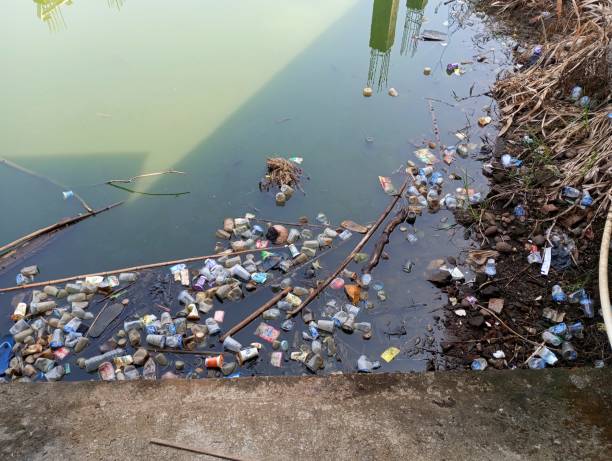 istock plastic bottles and other plastic waste in a pool with green, polluted water 1797861517
