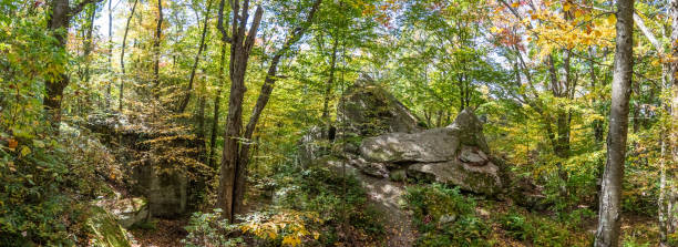 istock Rock City Park, Olean, NY, gigantic rock formations 1797864666