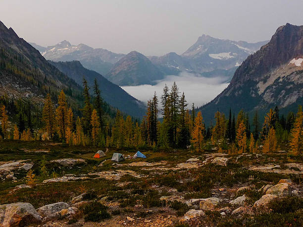 istock Camp Site in the Cascade Mountains 179789002