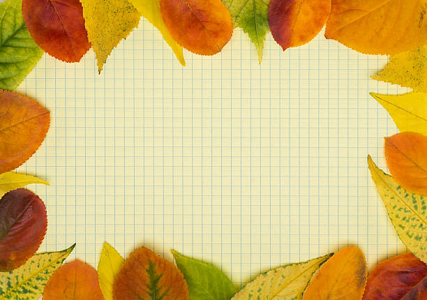istock School notebook and frame of autumn leaves 179789798