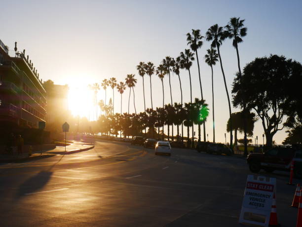 istock Sunset in California with tall palm trees 1797909161