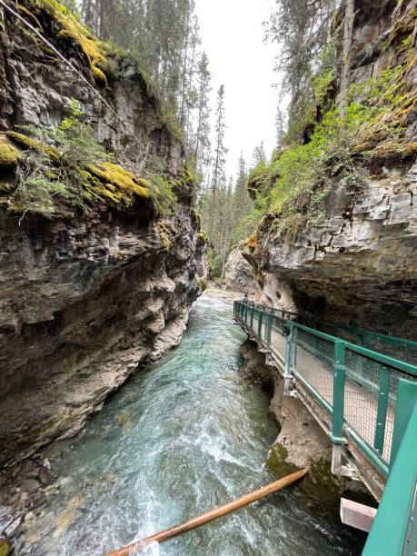 istock Johnston Canyon near Banff 1797910886
