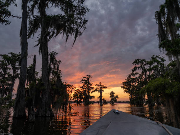 tramonto drammatico in una palude di bayou della louisiana con lo scafo di una barca in primo piano - cloud cloudscape color image cypress tree foto e immagini stock