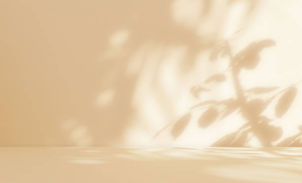 istock Empty beige cream brown background studio room with sunlight effect shadow of leaves on concrete wall and floor. 1797950607