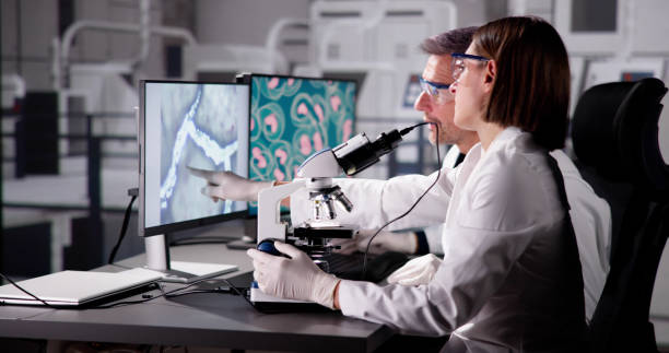 istock Scientist Conducts Medical Research on Blood Samples 1797954029