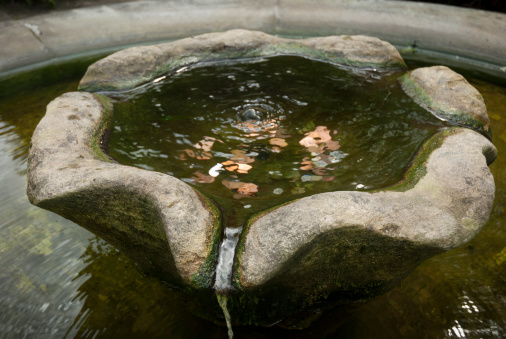 A stone wishing well with coins in the water.