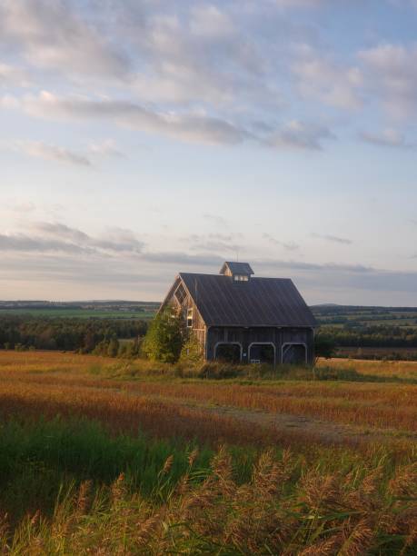 istock Old barn in the field with amazing sky 1797968610