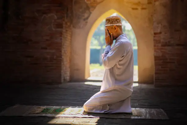 ثمار الذكر