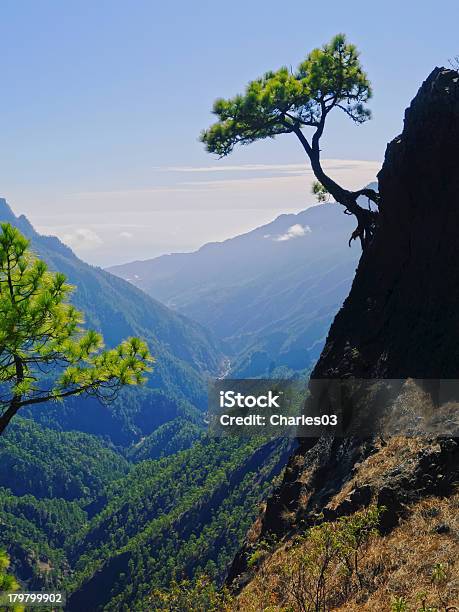 Caldera De Taburiente National Park On La Palma Stock Photo - Download Image Now - Atlantic Islands, Blue, Caldera