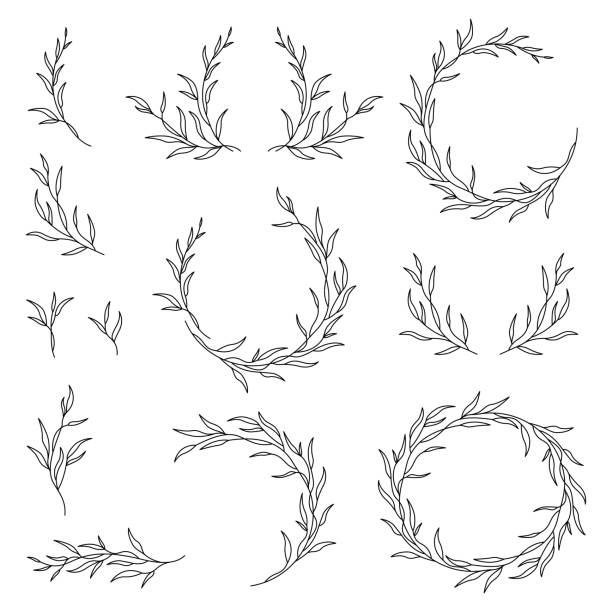 Set of plant elements leaves and branches. Collection of vector botanical elements Delicate compositions with leaves. Decorative elements for backgrounds, packaging, logos, wedding invitations, greeting cards, quotes, blogs, wedding frames, borders, posters tree crown stock illustrations