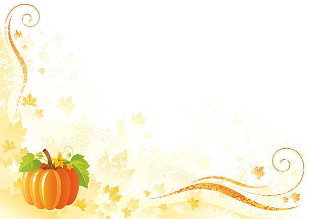 추수감사절 배경: 펌프킨 - white backgrounds thanksgiving pumpkin stock illustrations