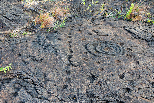 Pu'u Loa Petroglyphs, holes and circles. The holes were for umbilical cords. The circles around a hole may have indicated status. Worked into a Kilauea phoehoe lava flow. Hawaii Volcanoes National Park, Hawaii County, Hawaii, USA.