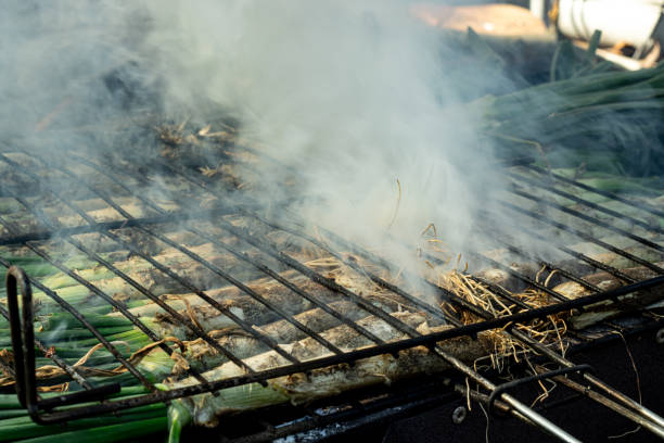 varios calçots,  is a variety of tender onions. calçotada. typical catalan food that is eaten with a delicious sauce. - fine dining grilled spring onion healthy lifestyle imagens e fotografias de stock