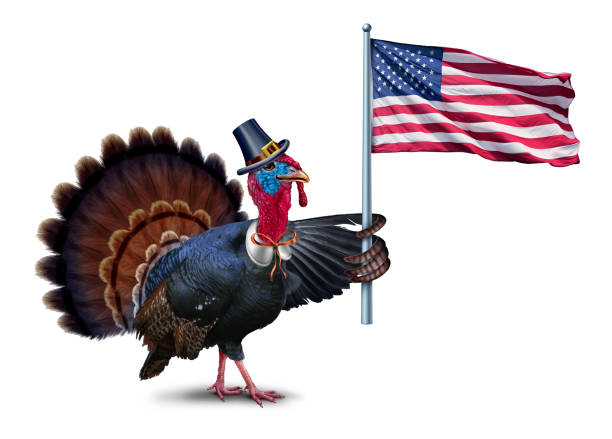 United States Flag Waving Turkey
