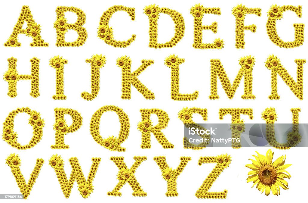 Alfabeto di girasole - Foto stock royalty-free di Alfabeto
