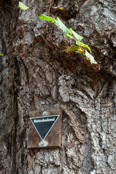 istock a sign on a tree warns the user of the warning 1798111082