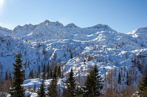 A scenic view of a mountain landscape featuring snow-covered peaks and pine trees.