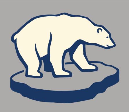 Polar Bear on a Chunk of Ice