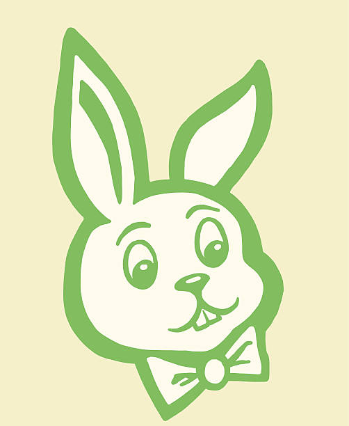 Rabbit Head