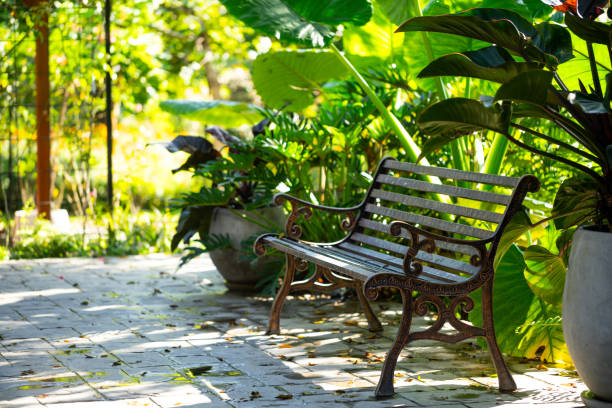 istock Chair in park 1798135311