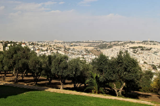 istock Panoramic picture on the Haas Promenade (Jerusalem) 1798140732