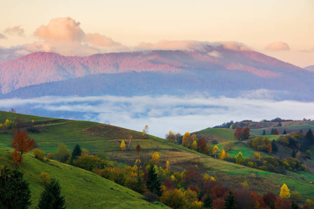 istock mountainous carpathian countryside at sunrise 1798144442