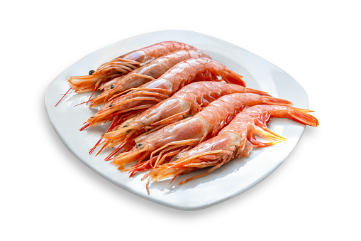 uncooked shrimp dish isolated from white background