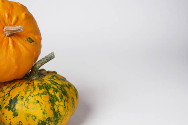 istock Autumn harvest background. Side view, pumpkins onwhite background with copy space. 1798191688
