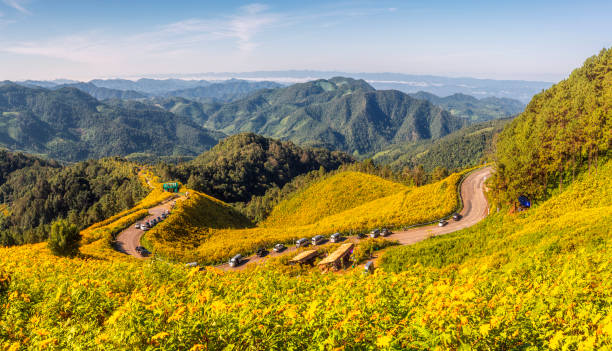 Top view of terrace rice field with old hut at countryside in mu cang chai near Sapa city Top view of terrace rice field with old hut at countryside in mu cang chai near Sapa city, vietnam, chiang rai province stock pictures, royalty-free photos & images