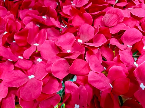 Defocused view of red coloured artificial hydrangea flowers on sale