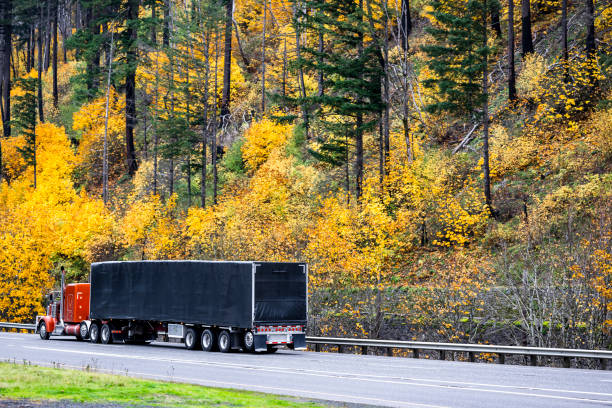 istock Bright brown classic big rig semi truck tractor transporting cargo in black covered dry van semi trailer running on the scenic autumn road 1798195548