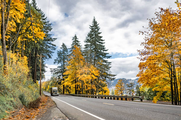 istock Classic big rig semi truck with turned on headlight transporting cargo in bulk semi trailer driving on the winding narrow autumn highway road 1798205773