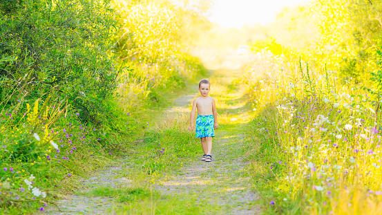 A little boy in shorts stands on a path between green and high grass