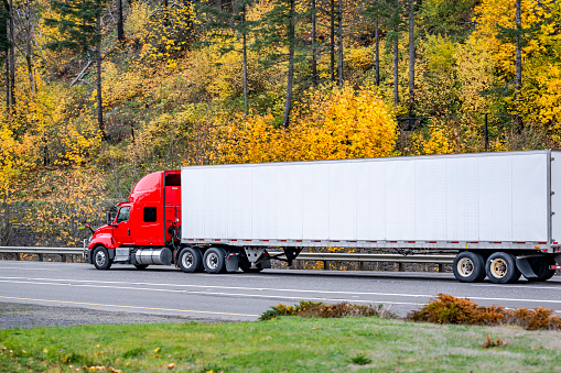 Industrial red long hauler carrier big rig semi truck transporting commercial cargo in dry van semi trailer running on the autumn highway road with yellow trees on mountain hillside in Columbia Gorge