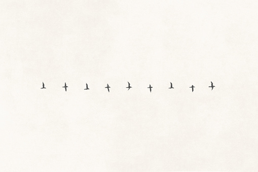 Illustration of birds in a row flying in the sky, minimal abstract concept