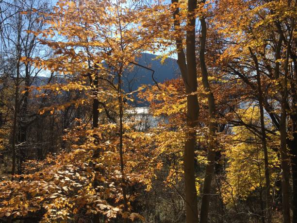 istock November at Hudson Highlands in New York State. 1798240660