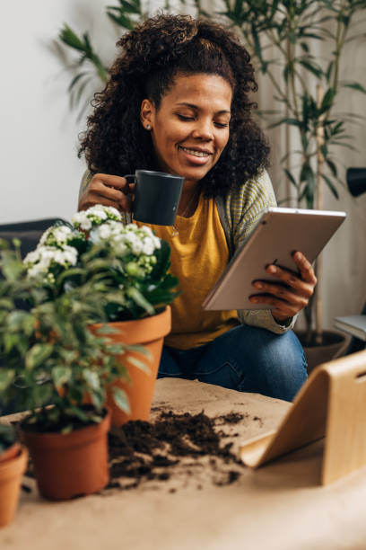 istock woman gardening flowers 1798259209