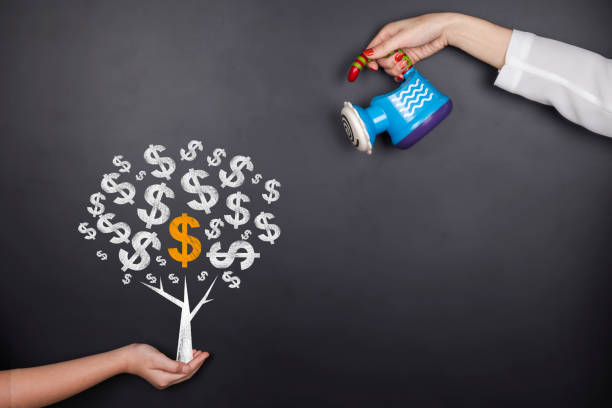 investment:hand watering Money Tree on blackboard stock photo