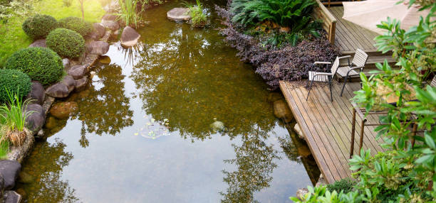 istock Top view of garden with water 1798297033