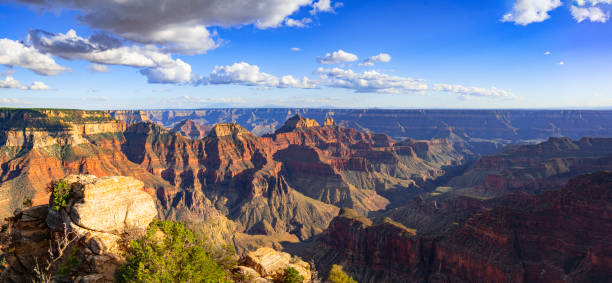 istock Grand Canyon North Rim 1798322719